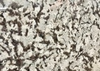 Granite delicatus white